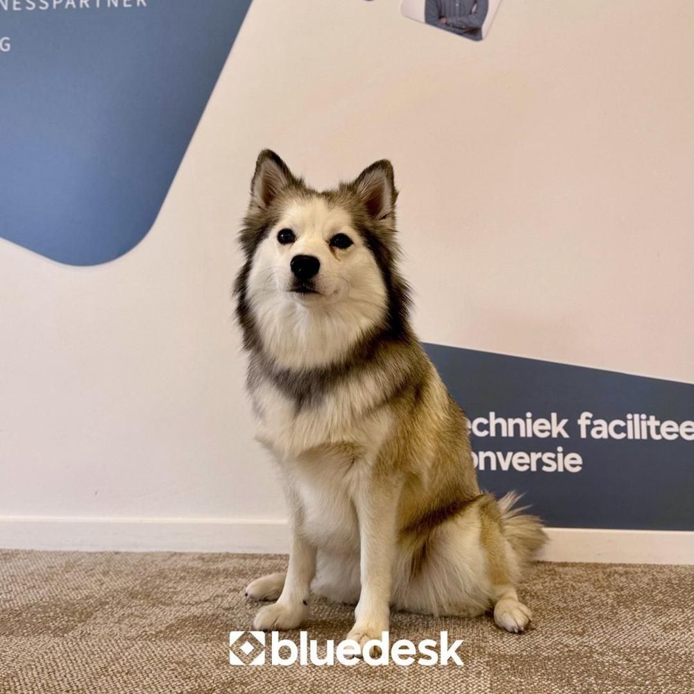 Bluedesk E-Business B.V.