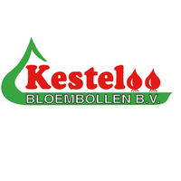 Kesteloo Bloembollen B.V. logo