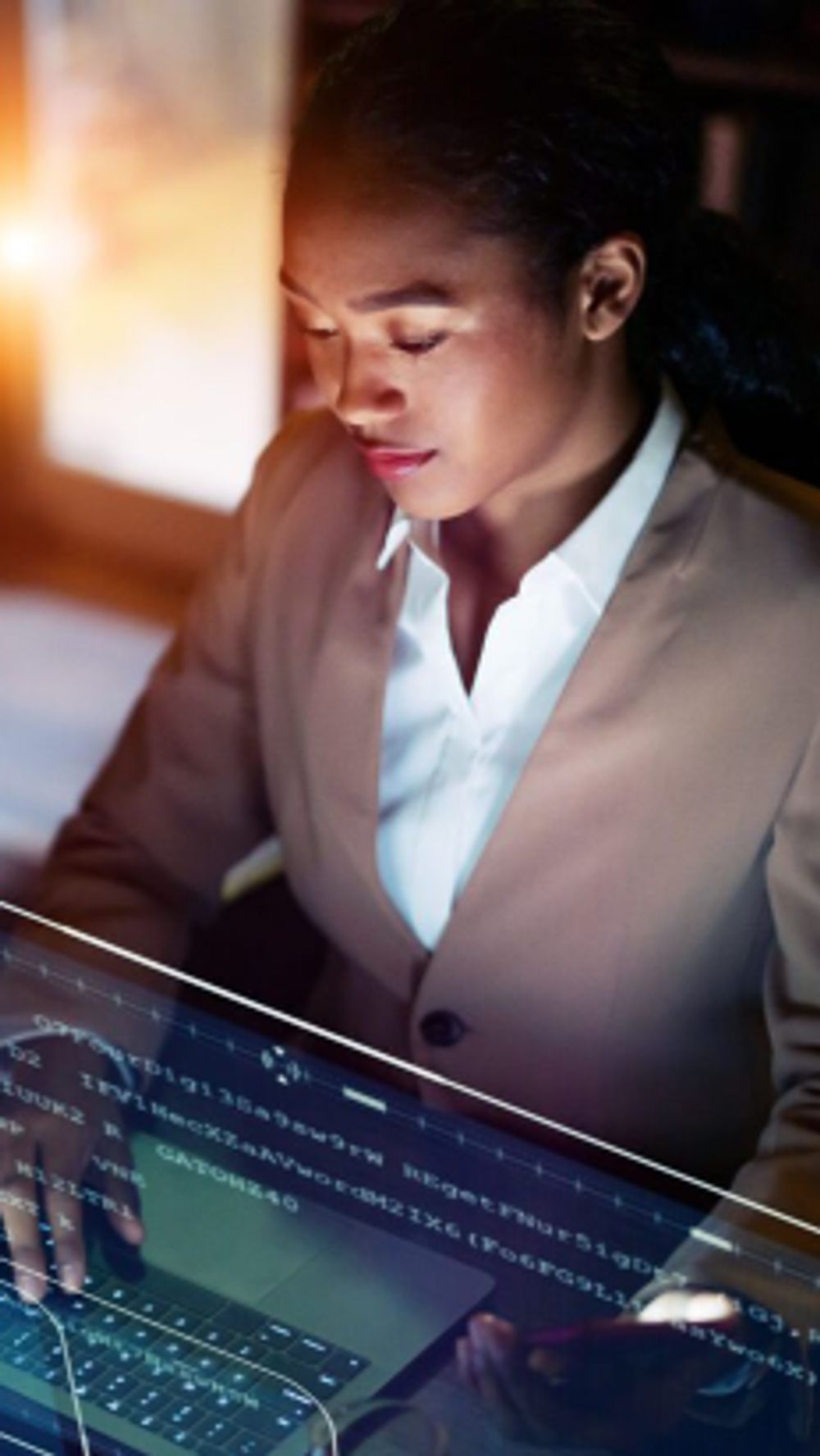 Functioneel beheerder