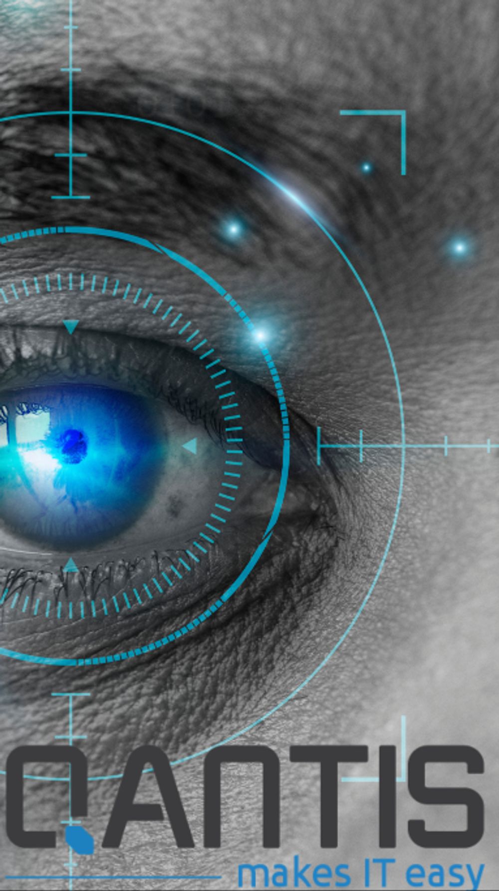 Cyber Security Engineer