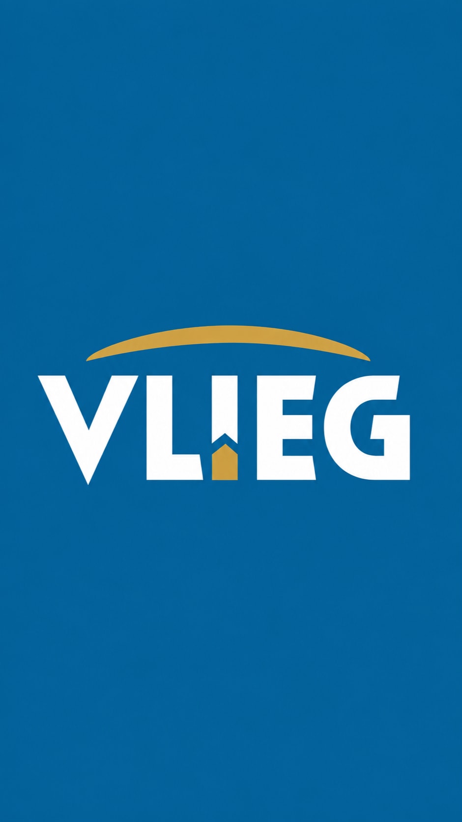 Ervaren Multibranche Schadebehandelaar