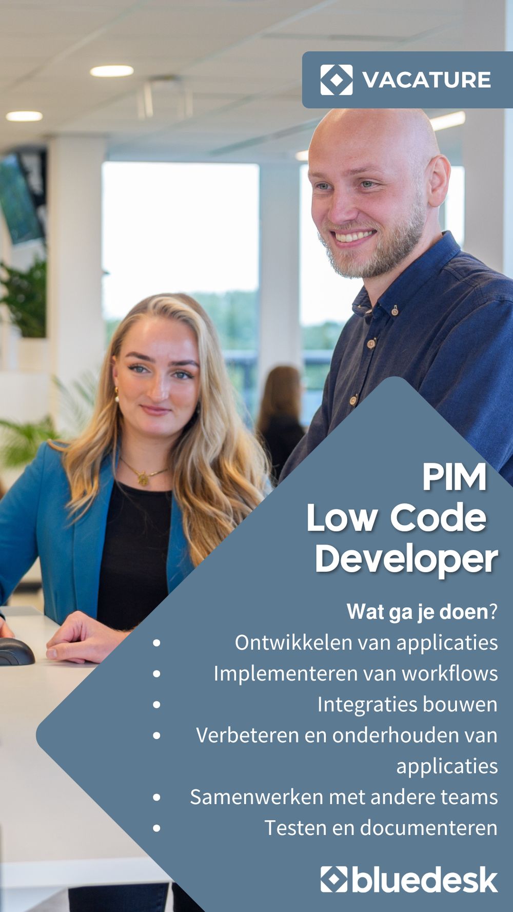 PIM Low Code Developer