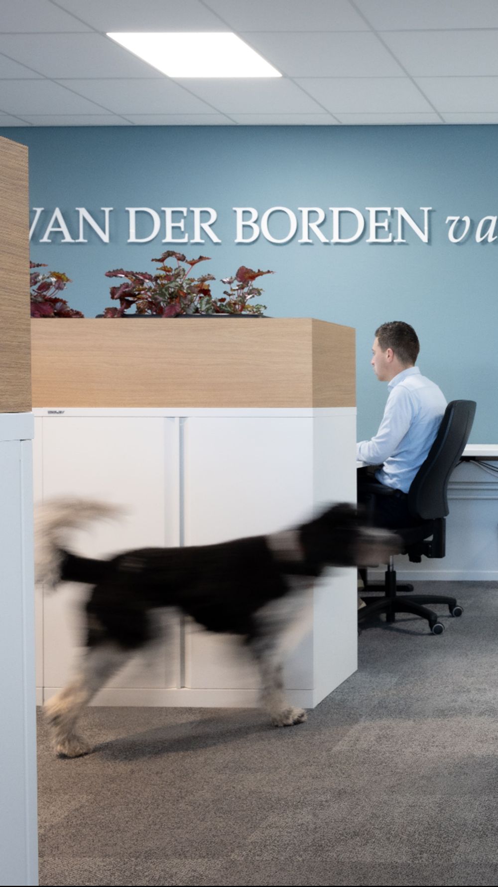 Technisch (vastgoed) Binnendienst Medewerker