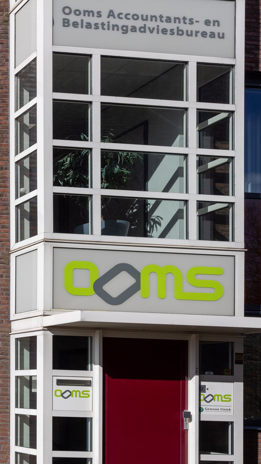 Junior Assistent Accountant